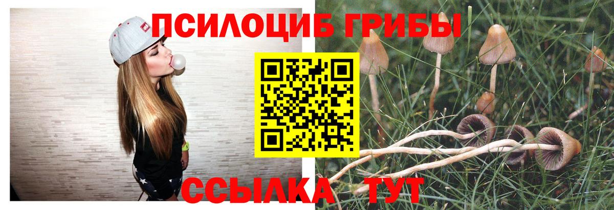 Псилоцибиновые грибы MAGIC MUSHROOMS Павлово