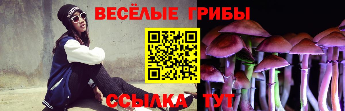 Псилоцибиновые грибы MAGIC MUSHROOMS  сколько стоит  Вход с VPN  Павлово  Псилоцибиновые грибы Psilocybine cubensis 